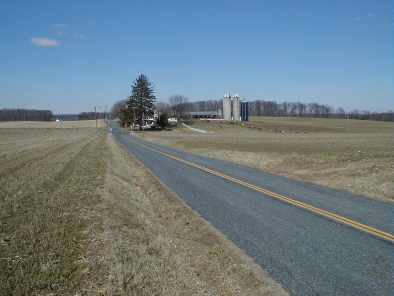 Northern Harford County, Md., Deborah Bowers