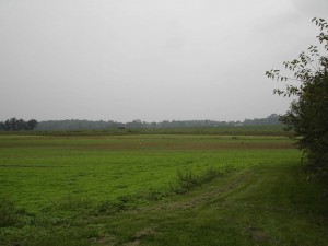 Preserved farm inBurlington County sold at auction by SADC