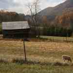 Buncombe Co NC (Photo by Anne Lancaster, CSREES)