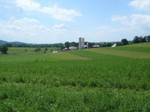 Lebanon County Pa. farms are part of the Phila. foodshed