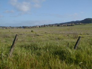 Ca. farmland next to towns could give way to development without Williamson Act tax breaks (FPR photo) 