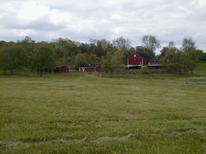 Baltimore County Rural Legacy Area farm (FPR photo)