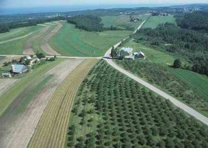 Grand Traverse Co MI orchard (Photo by NRCS)