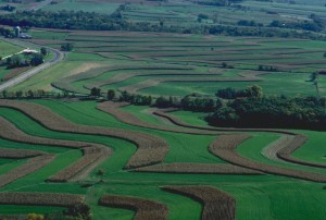 Soil conservation practices in Green Co., WI (Photo by Ron Nichols, USDA-NRCS)