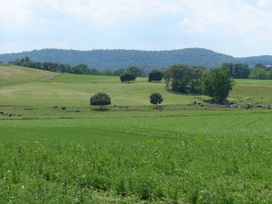 Lebanon County farm