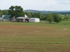 Adams County farmland (FPR photo)