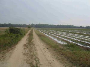 NJ preserved farm (Photo: SADC)