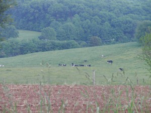 Preserved farm in Harford (FPR photo)