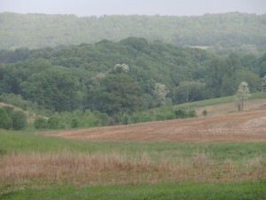 A Harford County easement was the target of an IRS inquiry in 2010 (FPR photo)