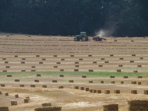 Central Maryland 2011 straw harvest