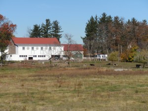 Pennsylvania farm (FPR photo)
