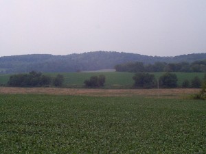 P001421