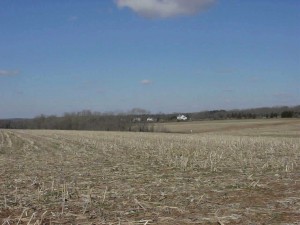 SADC farm to be auctioned